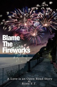 Blame The Fireworks Cover